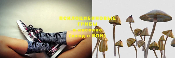 мдма Бородино