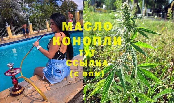 молекула духа Сясьстрой