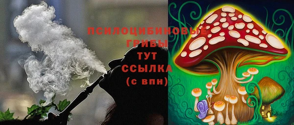 мдма Бородино